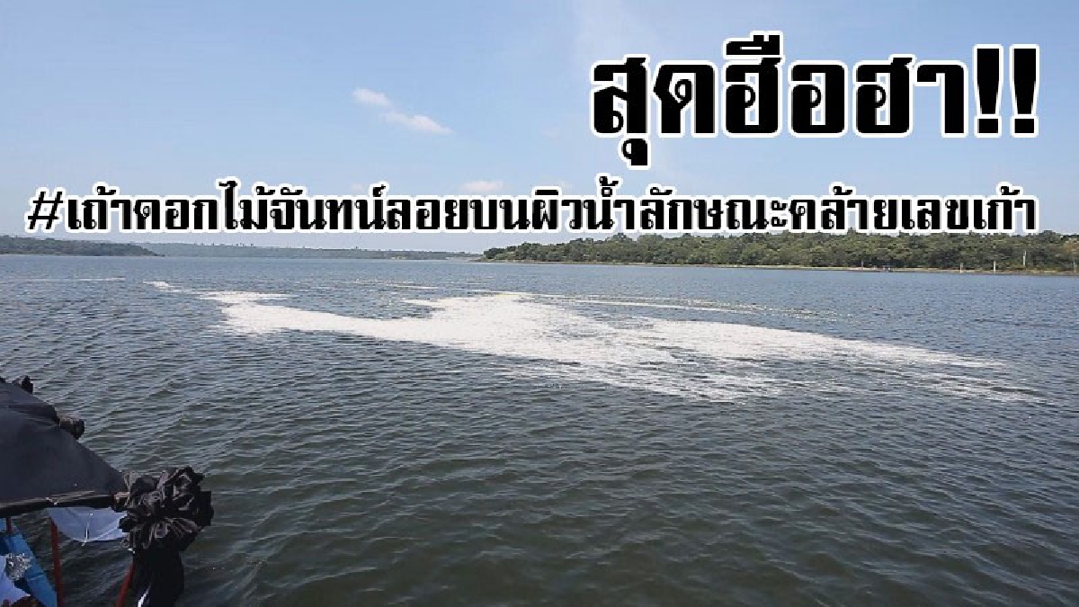 สุดอัศจรรย์!! ปชช.สุดฮือฮาเถ้าดอกไม้จันทน์ ที่ลอยบนผิวน้ำเขื่อนลำปลายมาศ จู่ๆก็มีลักษณะคล้าย "เลขเก้าไทยกลับหัว"..!?