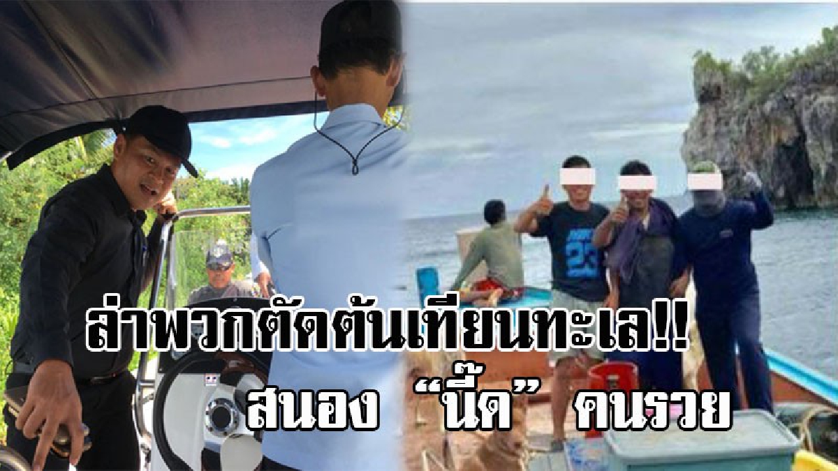 หน้าชัดขนาดนี้ จะกล้าจับหรือเปล่า!? นอภ.เมืองชุมพร นำจนท.ลุยตรวจ ซากต้นเทียนทะเล หลังคนใจชั่ว ขโมยตัดสนอง &ldquo;นี๊ด&rdquo; คนรวย