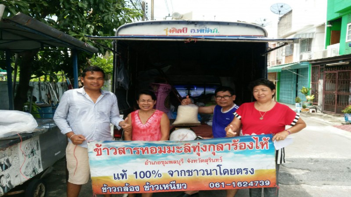 พีซีมือใหม่หัดขาย..หนุ่มเมืองช้างฮึดสู้!! ราคาข้าวตก พลิกวิกฤติเป็นโอกาส ขนข้าวหอมมะลิทุ่งกุลาร้องไห้ขายตรงผู้บริโภค ไม่ง้อโรงสีและพ่อคนกลาง