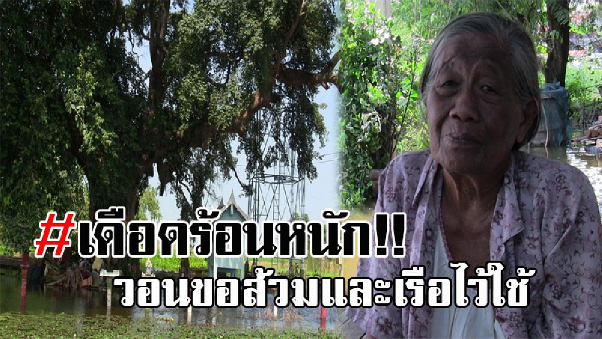 ช่วยพวกเราด้วย..!! ชาวบ้าน อ.วิเศษชัยชาญ อ่วมหนัก หลังน้ำเอ่อล้นเข้าท่วมบ้านเรือน เรือกสวนไร่นาพังยับ วอนขอส้วมและเรือไว้ใช้สำหรับสัญจร