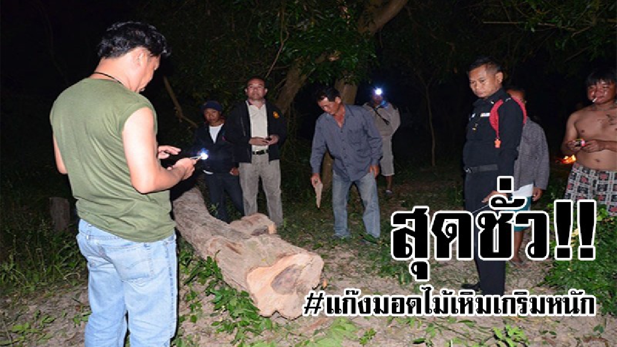 #พวกหนักแผ่นดิน..!! แก๊งมอดไม้ ฉวยโอกาส ลอบตัดไม้พะยูง หลังชาวบ้านแห่กันไปช่วยงานศพ วางแผนล้อมจับมันมาลงโทษ แต่สุดท้ายไหวตัวทันรอดไปได้!!