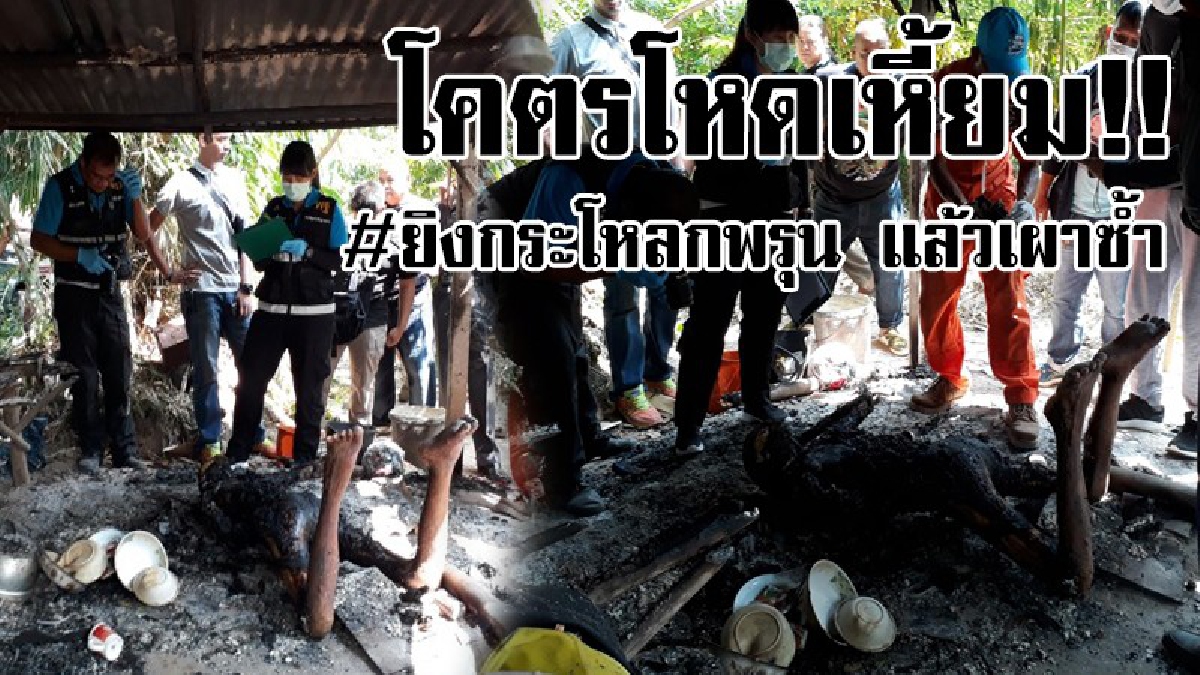 #มือปืนทมิฬ..ฆ่าโหด!? พบศพ "ลุงขี้เมา" สภาพเกินบรรยาย คาดมือปืนน่าจะแค้นสุดลิ่ม ยิงเจาะกะโหลกพรุน แล้วราดน้ำมันย่างสดซ้ำ..!!
