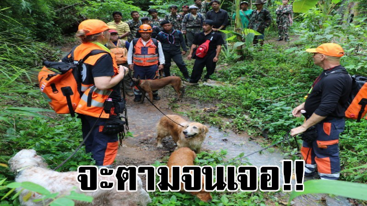 ไม่หยุดตามหา!! สุนัขกู้ภัยแห่งชาติ (Thai RDA) ตามหาพ่อเฒ่าเทิ้ม หลังสูญหายนาน 15 วัน แต่ตอนนี้ยังไร้วี่แวว..!?
