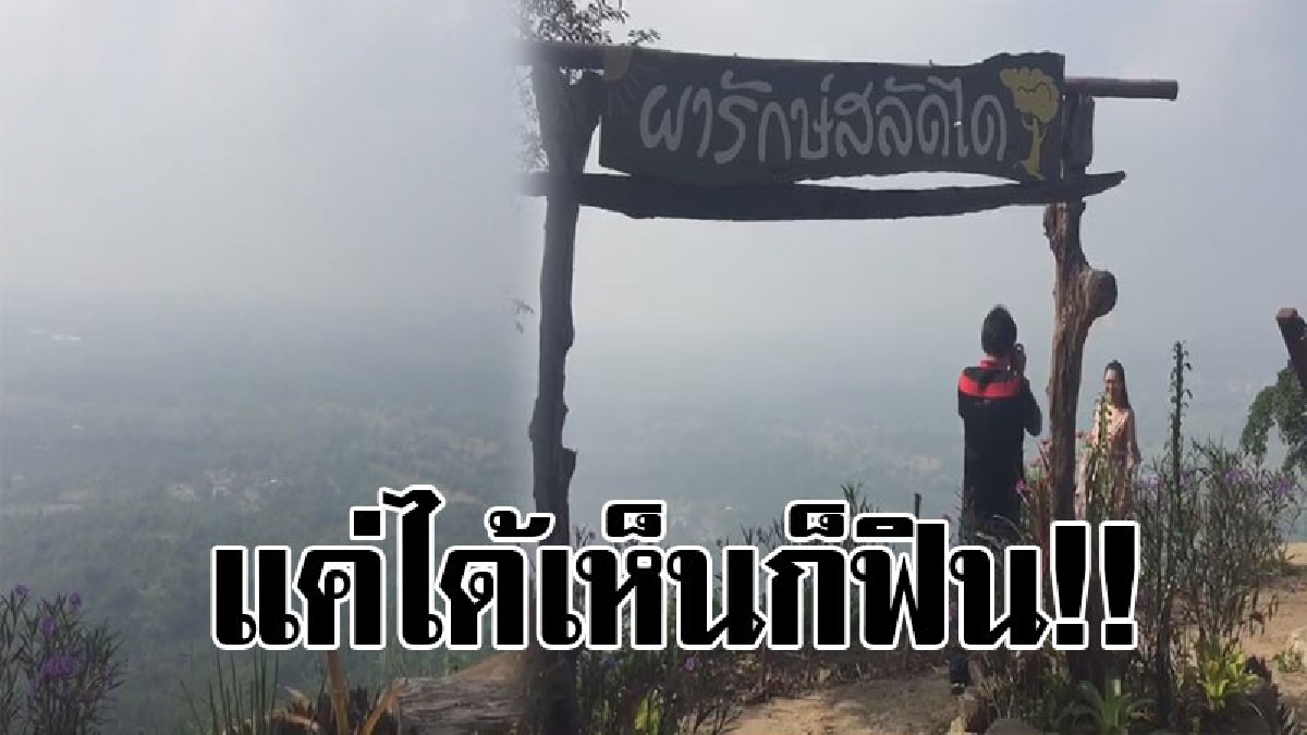 ความหนาวกำลังมาเยือน..!? นักท่องเที่ยวแห่สัมผัสไอหมอก บนผารักษ์สลัดได วังน้ำเขียว บอกเลยได้แค่ได้เห็นก็ฟินแล้ว..!!