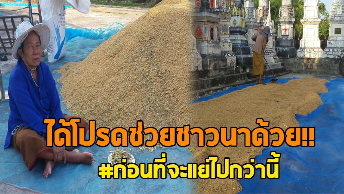 เสียงเรียกจากชาวนาไทย!? ได้โปรด "ลุงตู่" ย้ำรัฐบาล คสช. ช่วยยกระดับชาวนาให้ก้าวสู่เกษตรกร 4.0 ถึงจะพออยู่ได้ หลังอ่วมหนักท่วมถึง 3 ครั้ง