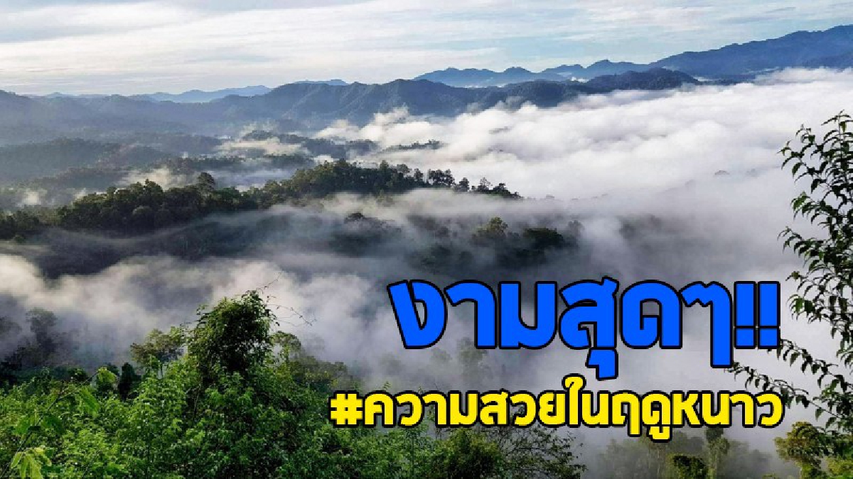 ความสวยในฤดูหนาว!! อุทยานแห่งชาติแก่งกระจาน เปิดฤดูกาลท่องเที่ยวปลายฝนต้นหนาว “เขาพะเนินทุ่ง” และธารน้ำใสเย็น “น้ำตกป่าอู” สวยสุดๆ!?