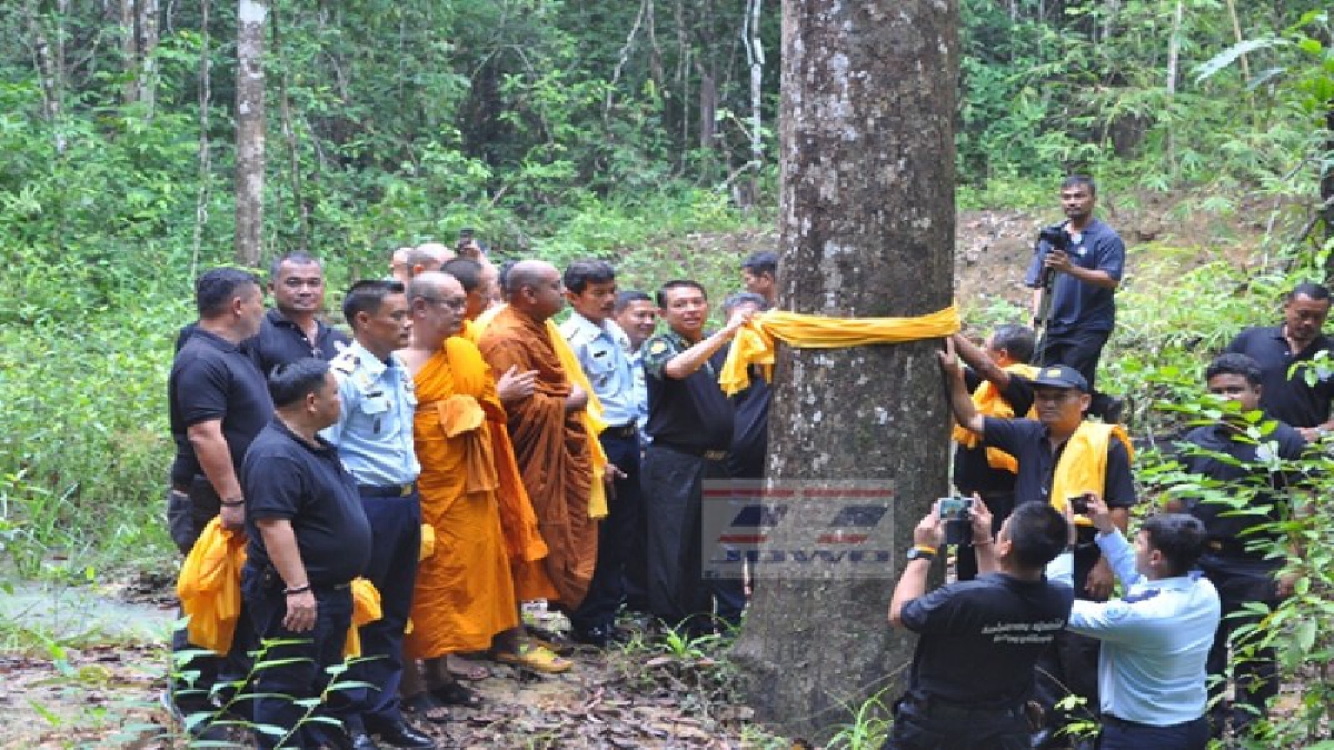 สุราษฎร์ธานี !! บวชต้นไม้รักษาป่าและสิ่งแวดล้อมถวายพ่อหลวง ร.9 กว่า 600 ไร่ เตรียมจัดเป็นป่าชุมชนเดินตามรอยเท้าพ่อ (ชมคลิป)