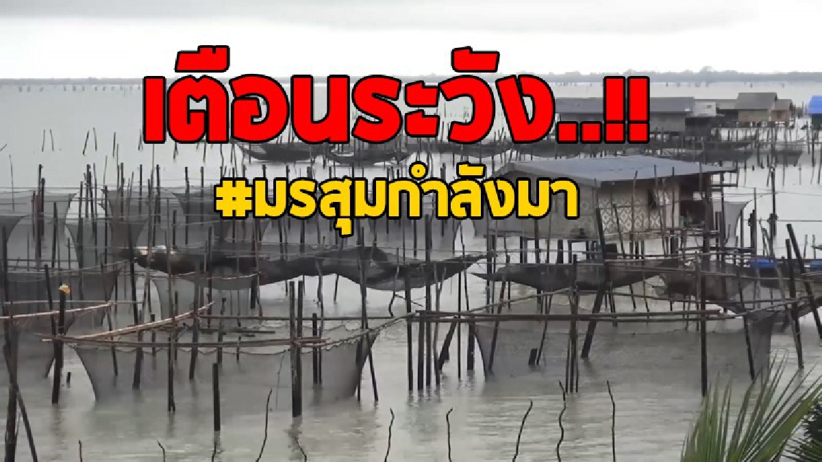 เตือน..จงระวังเอาไว้!! ชาวบ้านเฝ้าระวังการเลี้ยงปลากะพงขาวในกระชัง หลังเจอช่วงหน้ามรสุม กรมอุตุใต้แจ้งเตือน "ฝนตกติดต่อกันหลายวัน"