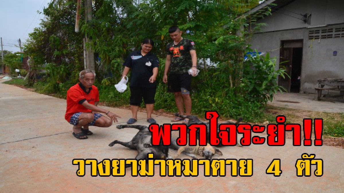สั่งล่าพวกเดนนรก..!! เจ้าของสุนัข สุดเศร้า แจ้งตร.ล่าคนใจบาป วางยาฆ่าหมาตาย 4 ตัว โยงปมแค้นฝังใจ...หมากัดหมา!? (มีคลิป)