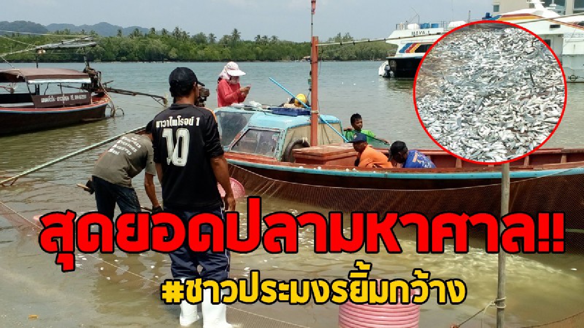 เห็นปลาแล้วต้องร้อง..โอ้โหเยอะมาก!! ลมตะวันออกพาชาวประมงยิ้มกว้าง ได้ปลาเยอะสุดๆ