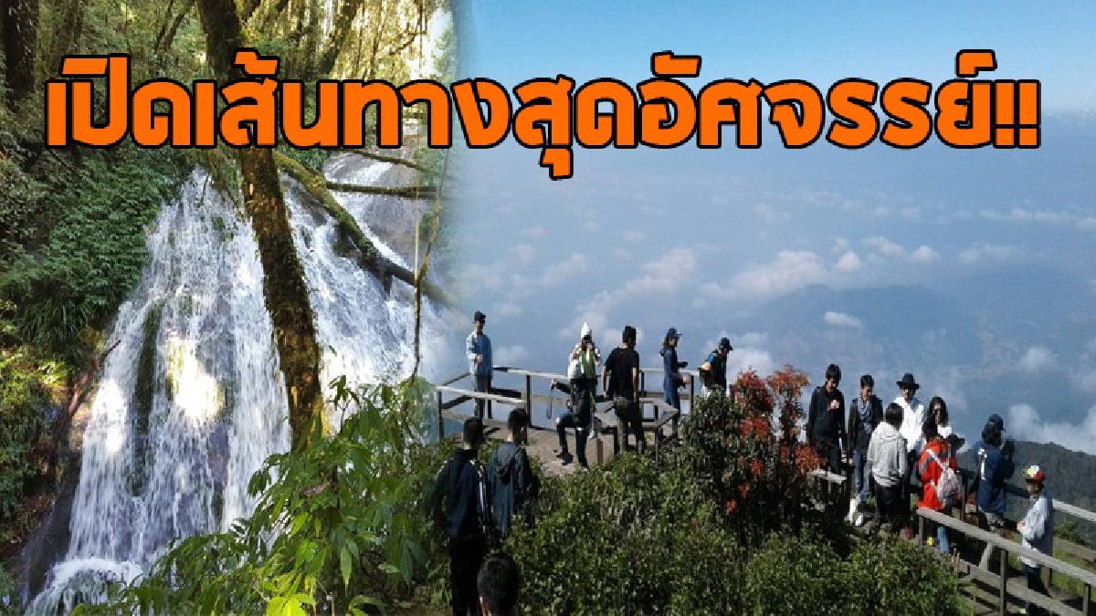 สุดฟิน..!!! เปิดให้ชมแล้วเส้นทางศึกษาธรรมชาติ "กิ่วแม่ปาน" หลีกหนีจากเมือง ความวุ่นวาย มาพักผ่อนหย่อนใจ รับโอโซนจากธรรมชาติแบบเต็มๆปอด..!?