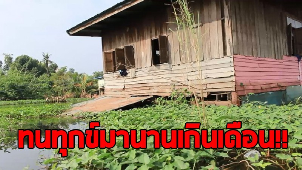 สุดทุกข์ระทม..!! ชาวบ้านบางปรอง นครสวรรค์ ถูกน้ำท่วมเป็นเดือน ยังไม่มีทีท่าจะเบาบางลง หวั่นบ้านพัง ไร้เงินซ่อมแซมแถมโจรขโมยชุกชุม..!!