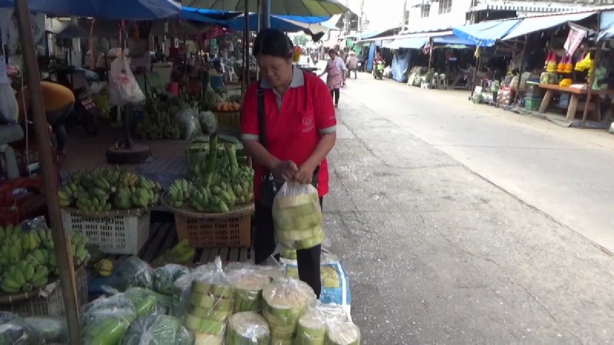 กลับมาคึกคักอีกครั้ง..!! ประชาชนแห่ซื้อวัสดุธรรมชาติใบตอง ต้นกล้วย ดาวเรือง บานไม่รู้โรย ไปทำกระทงจำหน่ายในช่วงประเพณีลอยกระทง