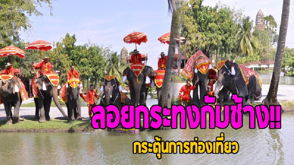 ลอยกระทงกับช้าง! รณรงค์ลอยกระทง ชวนนักท่องเที่ยวร่วมสืบสานประเพณีไทย อบจ.จัดใหญ่ นิมนต์เกจิชื่อดัง ทำพิธีอาบน้ำเพ็ญ ณ ทุ่งภูเขาทอง (ดูคลิป)