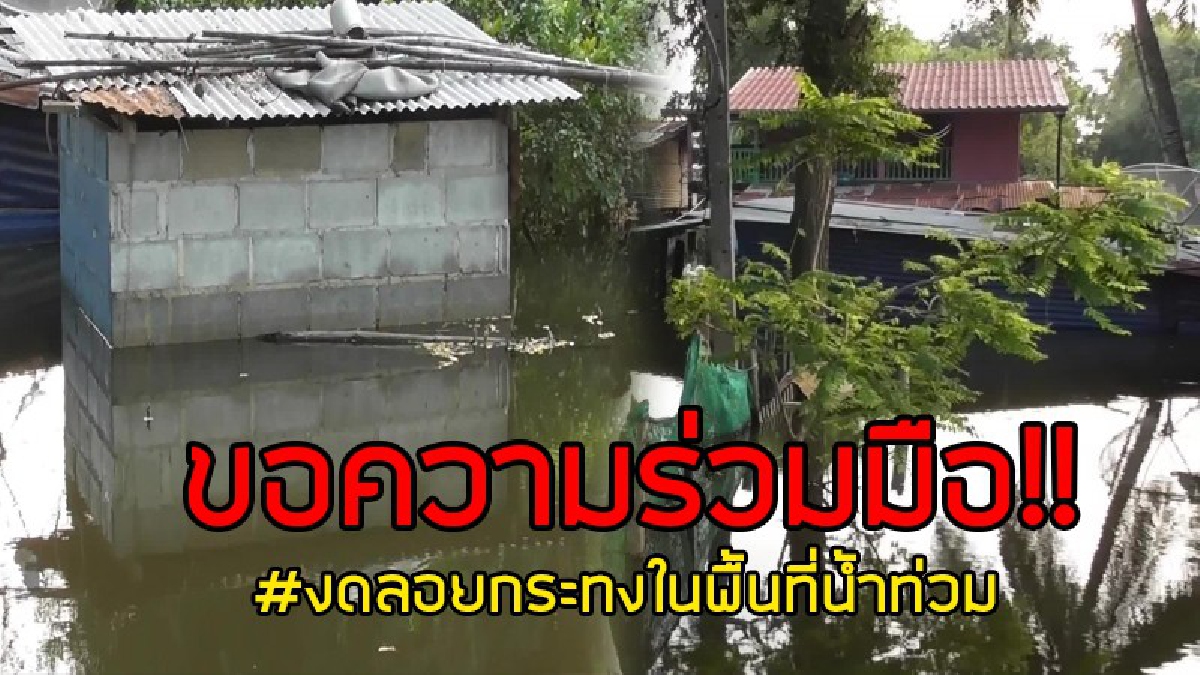 ขอความร่วมมือ!! ชัยนาทประกาศงดจัดงานลอยกระทงในพื้นที่น้ำท่วม ขอประชาชนลอยกระทงในคลองชลประทานแทนแม่น้ำ ป้องกันเหตุเพลิงไหม้บ้านถูกน้ำท่วม