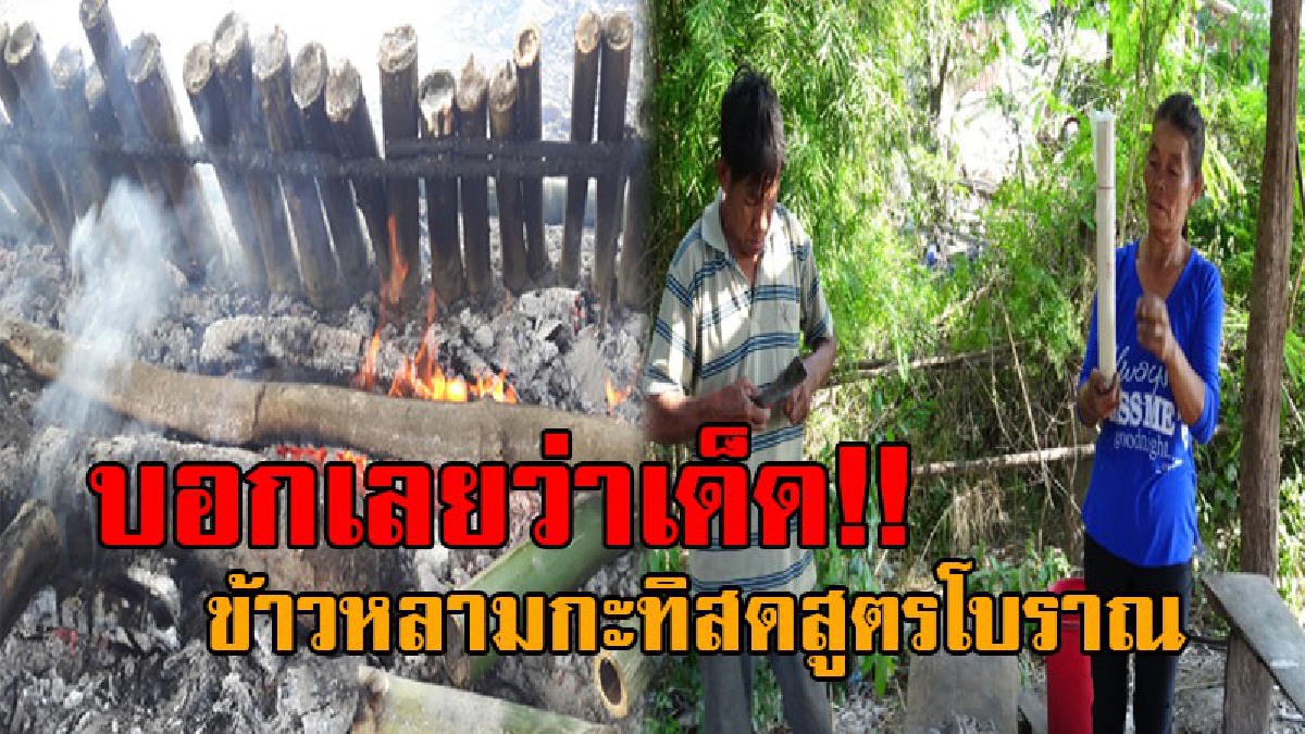 นักชิมต้องลอง..!! เผากันแบบสดๆใหม่ๆ ข้าวหลามกะทิสดสูตรโบราณ ของชาวบ้านหนองคู ทำขายกันริมถนนอรุณประเสริฐ เส้นทางยโสธร-อำนาจเจริญ
