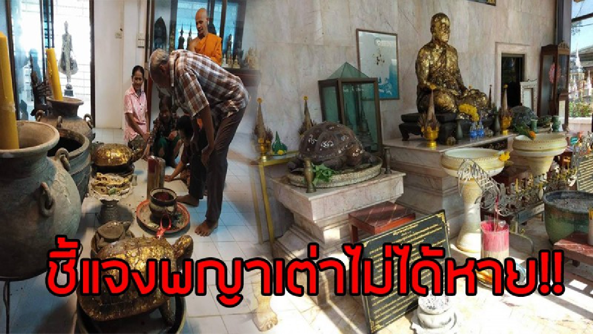 ชี้แจงข้อเท็จจริง..!! อย่าหลงเชื่อข่าวลือหนาหูว่าพญาเต่าครู ราคาหลายแสนหาย ที่แท้เก็บรักษาเอาไว้ในในพิพิธภัณฑ์ (มีคลิป)
