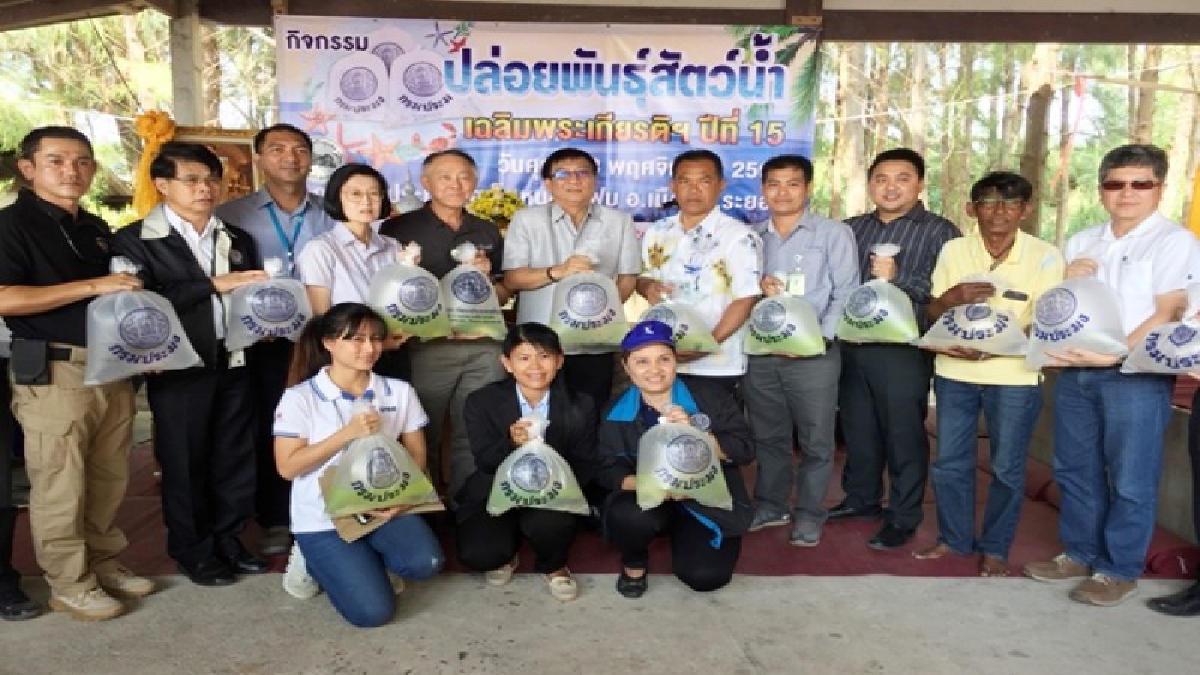 กลุ่ม ปตท. จ.ระยอง ร่วมกับกลุ่มประมงหนองแฟบ และภาคีเครือข่าย รว่มปล่อยพันธุ์สัตว์น้ำ กว่า 1,030,000 ตัว เฉลิมพระเกียรติในหลวง ร.10