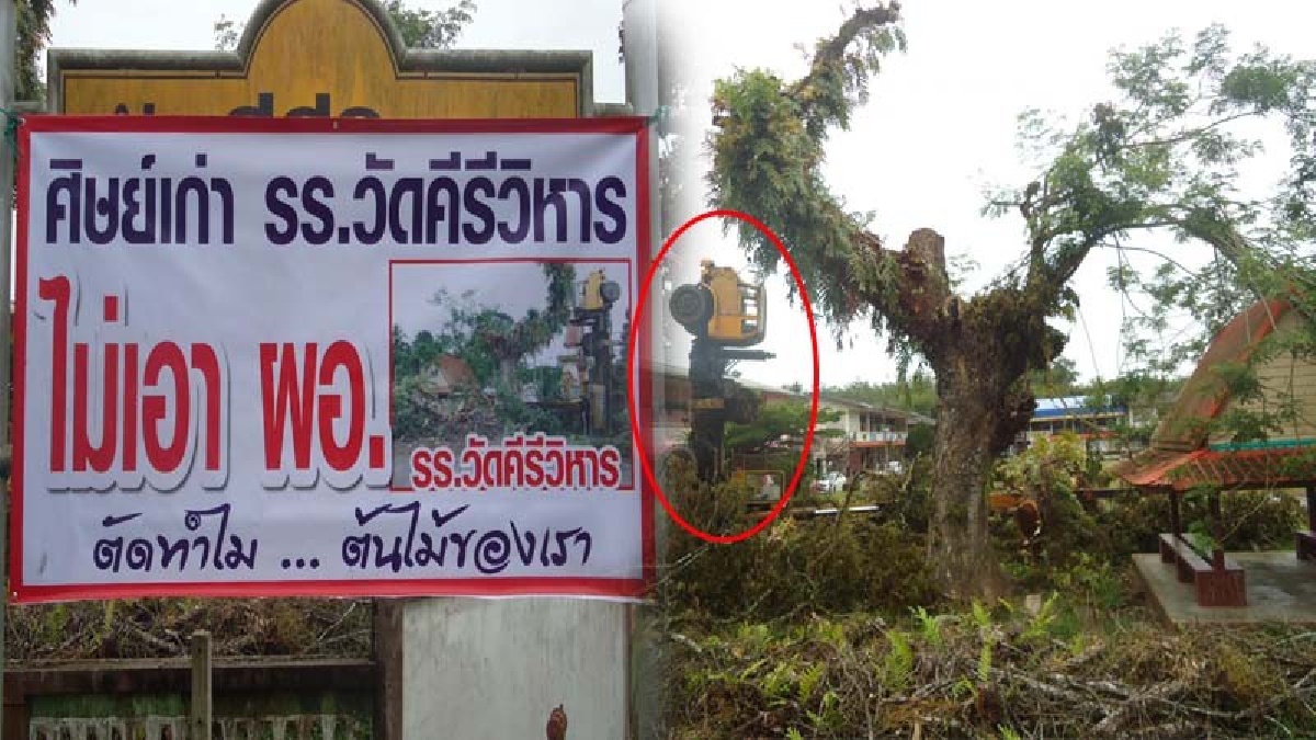 ชาวบ้านรุมสมน้ำหน้า !! ชุมนุมไล่ผอ.รร. สั่งตัดต้นไม่ใหญ่โดยพละการ รถเครนพลิกหัวลอยชี้ฟ้า ขณะตัดกิ่งไม้ฉำฉาอายุกว่า 300 ปี (ชมคลิป)