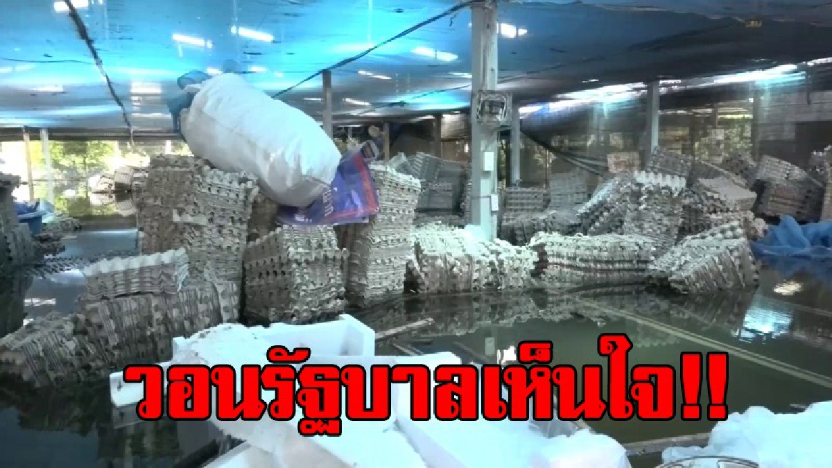 น้ำตาตกใน!! ฟาร์มจิ้งหรีดวอนรัฐบาล ช่วยเหลือผ่อนผันการชำระหนี้ หลังฟาร์มถูกน้ำท่วมเสียหายมูลค่ากว่า 3 แสนบาท..!?