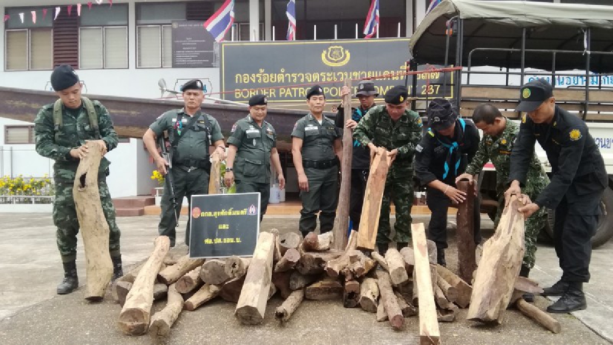 กวาดล้างให้หมดสิ้น!! นครพนม ตชด.237 สกัดแก๊งมอดไม้ลอบขนพะยูงคาริมโขง เตรียมส่งไปประเทศเพื่อนบ้าน (มีคลิป)