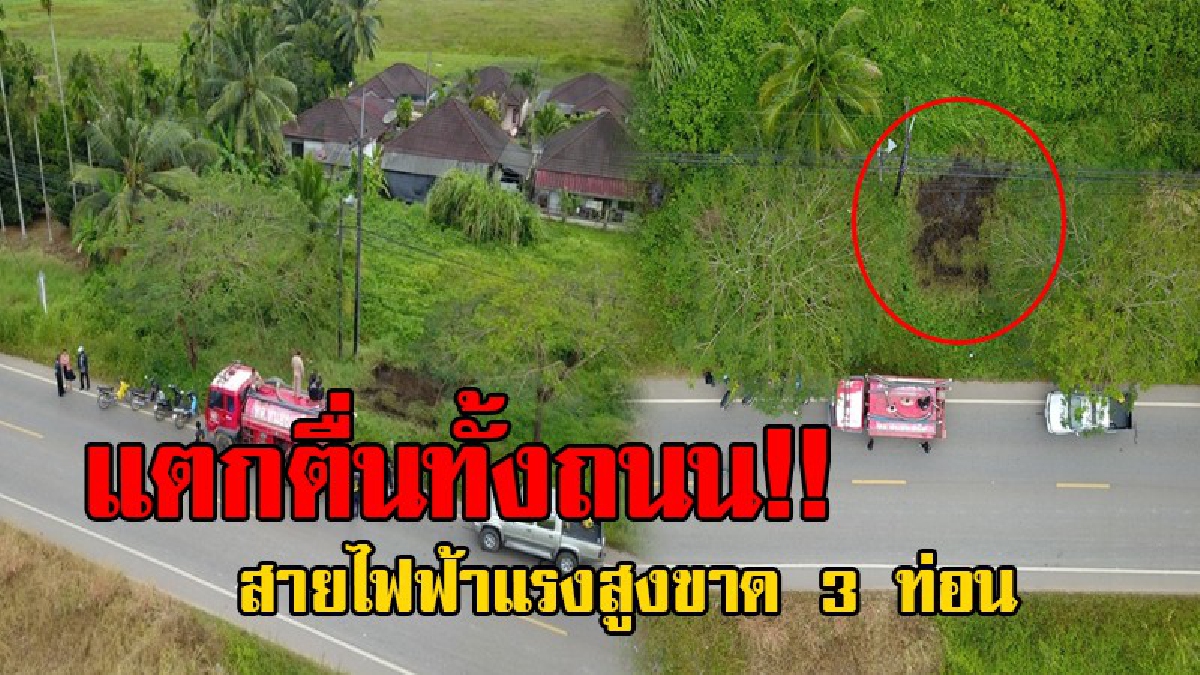 อันตรายมาเยือน..!! ลมแรงจัด พัดก้านหมากปลิว ติดสายไฟฟ้าแรงสูง ส่งผลให้สายไฟขาดเป็น 3 ท่อน ไหม้หญ้าข้างถนน..!?
