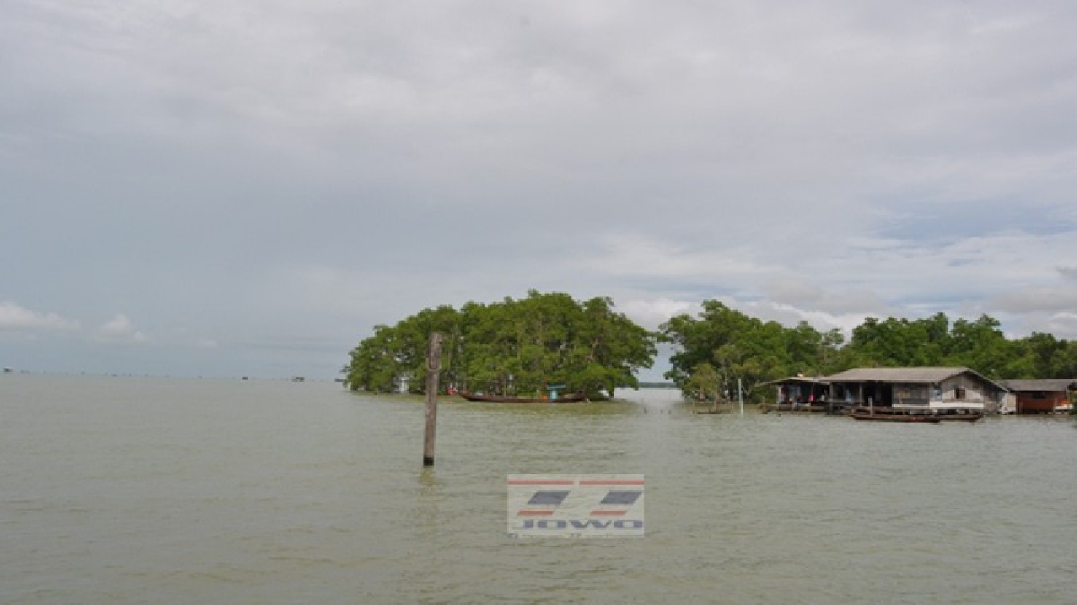 ทรัพยากรทางทะเลฯ..!! ออกโรงเตือนเครือข่ายป่าเล ชุมชนสุราษฎร์ ชุมพร รับมือพายุดีเปรสชันถล่มชายฝั่งวันนี้!? (มีคลิป)