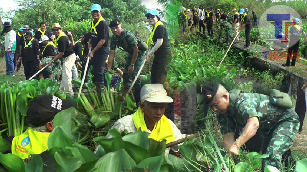 พ่อเมืองแปดริ้ว...!! นำประชาชนทำกิจกรรมลอกผักตบชวาในลำคลอง &ldquo; ทำความดีด้วยหัวใจ &rdquo;