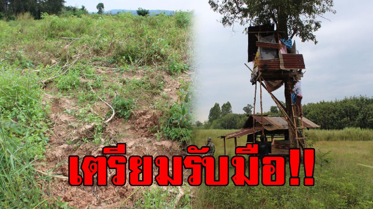 หนาวนี้หนักแน่!! นายอำเภอใหม่ไฟแรง นำชาวเสิงสาง ระดมทุกส่วนเฝ้าระวังช้างป่าอาละวาด หลังสถานการณ์มีแนวโน้มรุนแรง