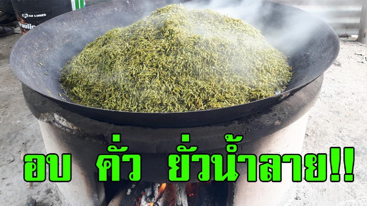 แค่เห็นน้ำลายก็แตกฟอง..!? อบ คั่ว ตำ ขายกันแบบสดใหม่ทุกวัน "ข้าวเม่า" ขายดิบขายดี ส่งกลิ่นหอมไปทั่วทั้งหมู่บ้าน..!!