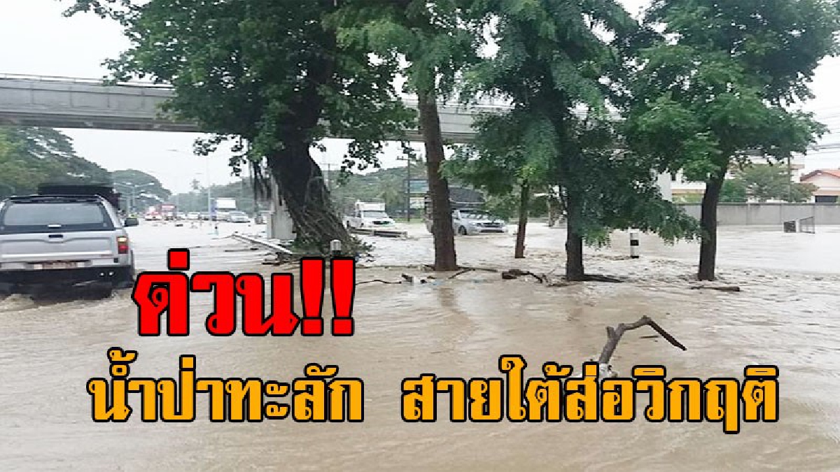 ด่วน !! น้ำป่าไหลทะลักท่วมถนนเพชรเกษม ที่ทับสะแก เตือนรถขึ้นล่อง 14 จ.ภาคใต้ อย่าประมาท
