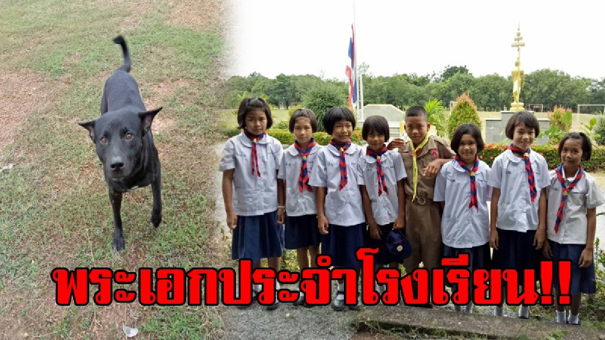 เจ้าตูบแสนรู้..!! ถือว่าเป็นพระเอกของโรงเรียนเลยทีเดียว เจ้าตูบสีดำ ได้ยินดนตรีก่อนเพลงชาติขึ้น จะต้องส่งเสียงร้องในทุกๆวัน..!?