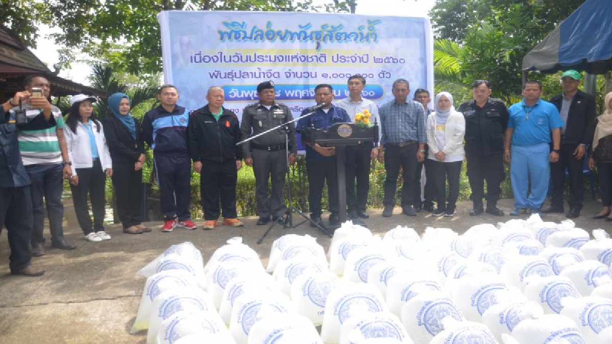 นราธิวาส !! ชาวรือเสาะร่วมปล่อยปลา วันประมงแห่งชาติ 1,000,000 ตัว ในบึงบัวบากง