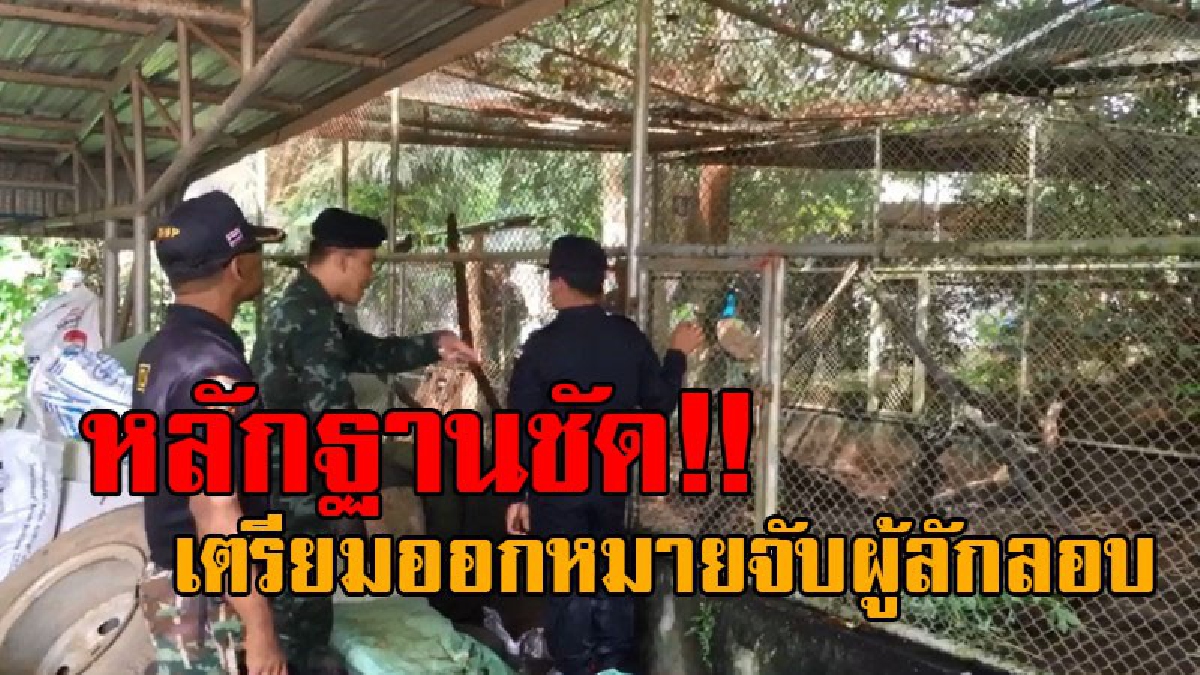 งานนี้ไม่รอดคุก..!! จนท.สนธิกำลัง บุกจับผู้ลักลอบครอบครองสัตว์ป่า เจอหลักฐานมัดตัวชัด อึ้งหนัก พบสัตว์ผิดกฎหมายเพียบ!? (คลิป)