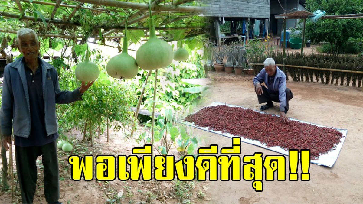 พอเพียงกับชีวิตดีที่สุด..!? สุดยอคุณตาใจบุญ มอบที่ดินสร้างที่ว่าการอำเภอ มูลค่า 36 ล้านบาท แต่ตนเองปลูกบ้านอยู่อย่างพอเพียง..!! (มีคลิป)