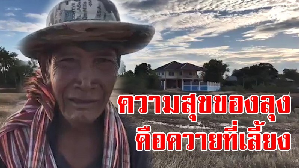 ทำใครต่อใครพากันอิจฉา..!! คุณลุงคนที่มีความสุขที่สุดในโลก เลี้ยงควายเพศเมียไว้จาก 1 ตัว เพิ่มเป็น 100 ตัว..!?