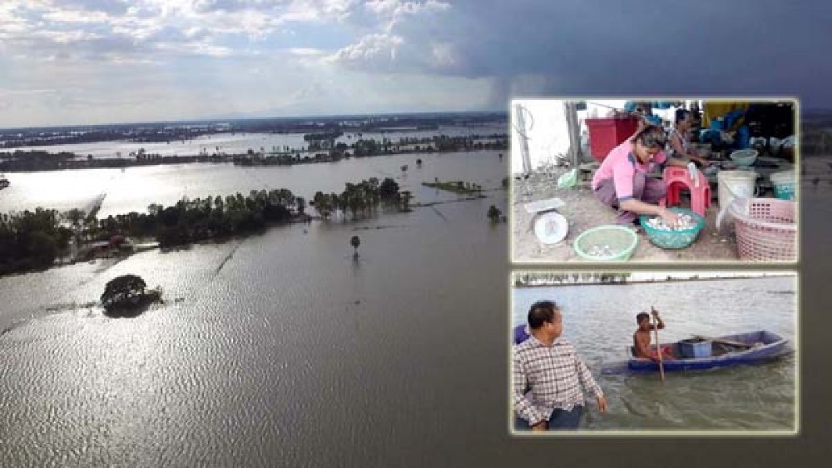 ชาวนาสุโขทัยติดเกาะกลางทะเลสาบ 12,000 ไร่ เผชิญน้ำท่วมนาน 4 เดือน ต้องยึดวิถีประมงพายเรือจับปลายังชีพแทน (คลิป)
