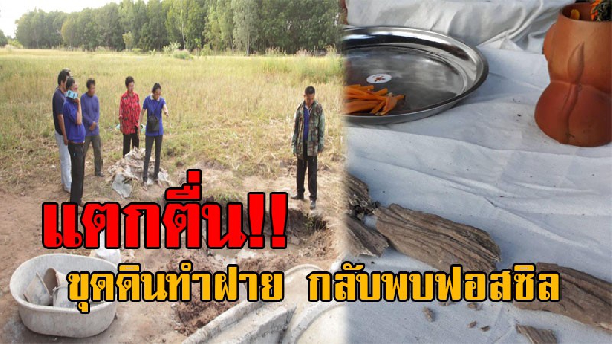 ฮือฮาทั้งหมู่บ้าน..!! ชาวบ้าน อ.นาแก สุดตะลึง ขุดดินทำฝาย กลับพบฟอสซิลแปลก เชื่อเป็นกระดูกสิ่งมีชีวิตโบราณ หลังเคยขุดพบมาก่อน!? (มีคลิป)