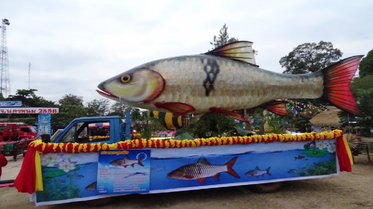นครพนม ชวนเที่ยวงานมหกรรมเทศกาลปลาลุ่มน้ำสงคราม ประจำปี 2560 พบกับขบวนแห่หุ่นปลายักษ์อย่างยิ่งใหญ่อลังการ (มีคลิป)