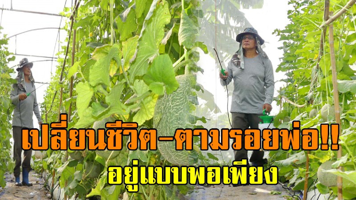 บั้นปลายชีวิตที่ดี..!? พลเอกชาญชัย หลังเกษียณ หันปลูก "เมล่อนปลอดสารพิษ" ตามรอยพ่อหลวง ใช้ชีวิตพอเพียง สุขทั้งกาย สุขทั้งใจ..!!
