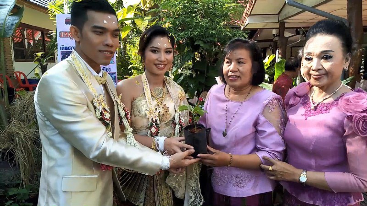 ไอเดียวสุดเก๋ !! งานแต่งบ่าวสาว แจกของชำร่วยปลูกด้วยใจ "เพาะต้นกล้า พริก มะเขือ ผักสวนครัว" กว่า 3 เดือน แทนคำขอบคุณแขกร่วมงาน (ชมคลิป)