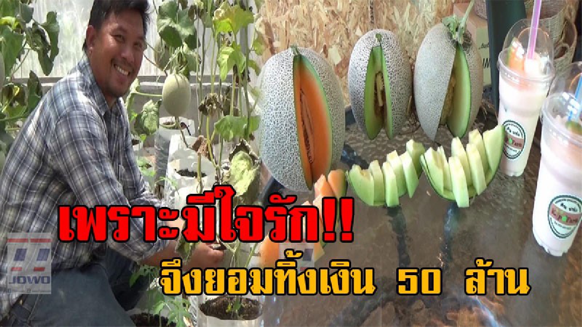 ทิ้งงานมาทำสิ่งที่รัก..!! หนุ่มวิศวะ ยอมทิ้งเงิน 50 ล้าน ขอเดินตามรอยเท้าพ่อ ทำการเกษตรแบบพอเพียง ปลูกทุกอย่างที่กิน และกินทุกอย่างที่ปลูก!?