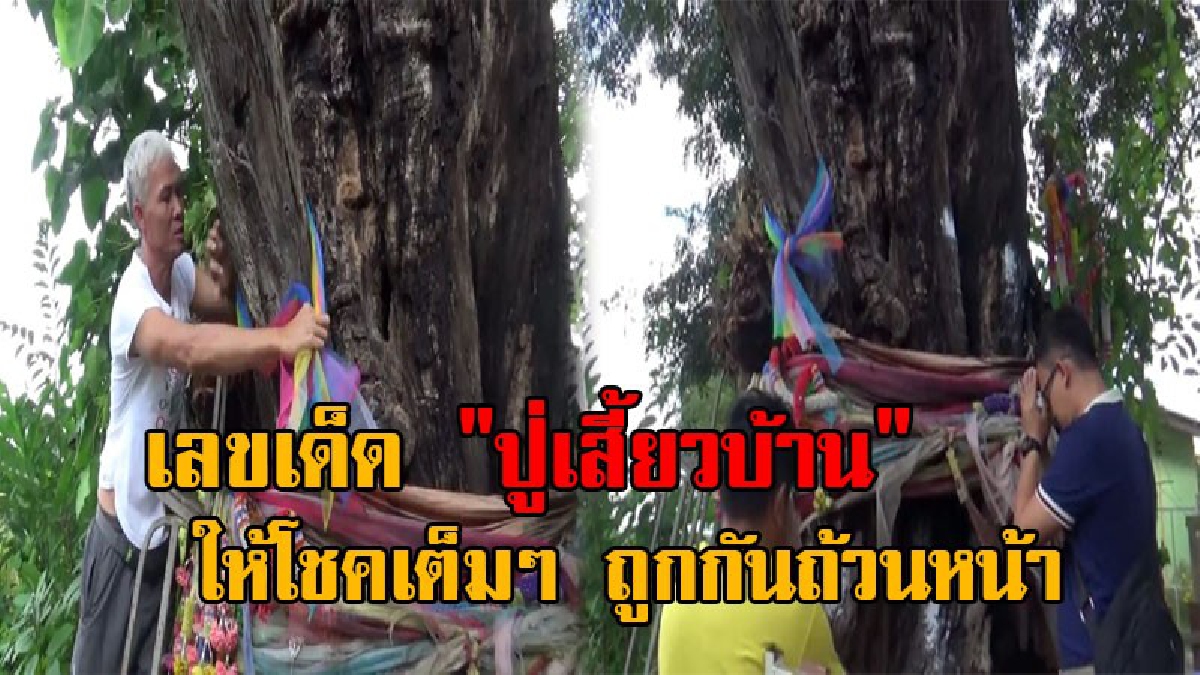 คอหวยพลาดไม่ได้..!! ปชช.ทั่วสารทิศ แห่ขอเลขเด็ด "ปู่เสี้ยวบ้าน" มีหน้าพระพุทธรูปฝังกลางต้นขี้เหล็ก อายุ 1,000 ปี หลังได้โชคถูกหวยกันถ้วนหน้า