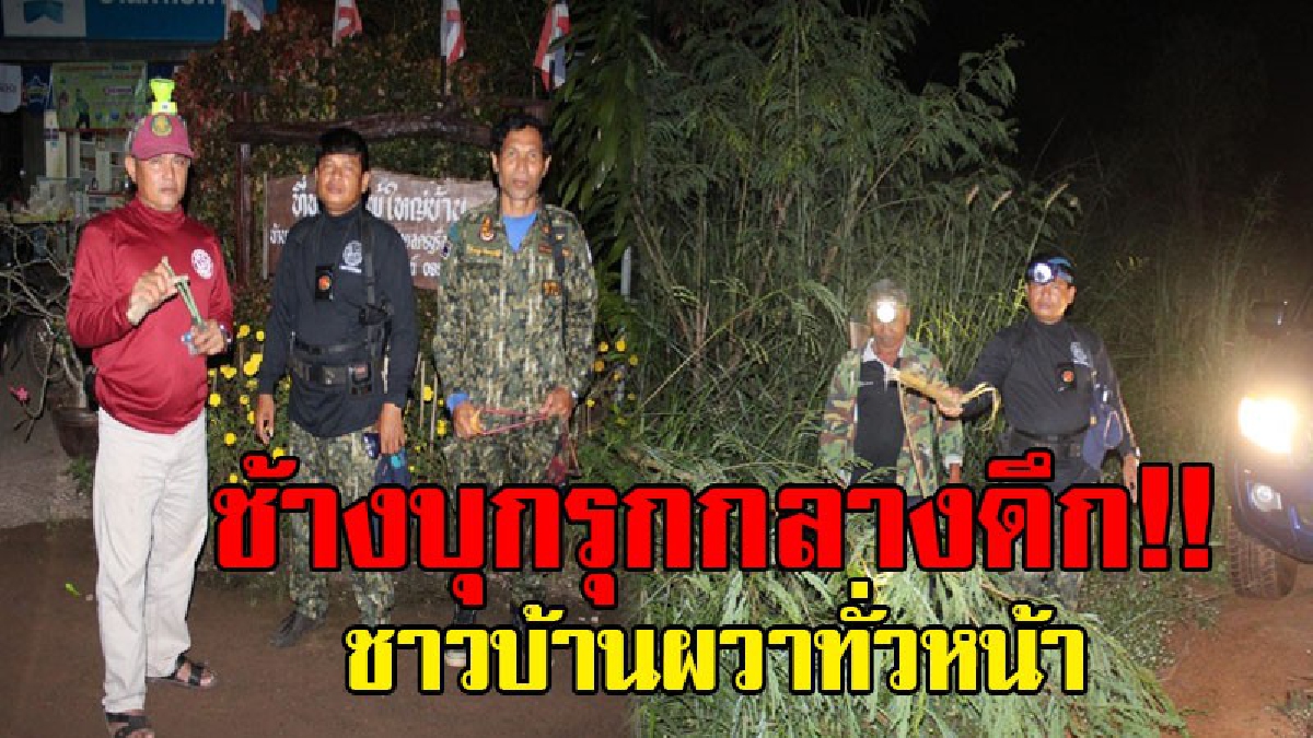 ตูมตามกลางดึก..!!เกิดเหตุสุดวุ่นวายกลางดึก ชาวบ้านจุดประทัดไล่ช้างครบุรีทั้งคืน หลังยังโดนบุกรุกหนัก..!?