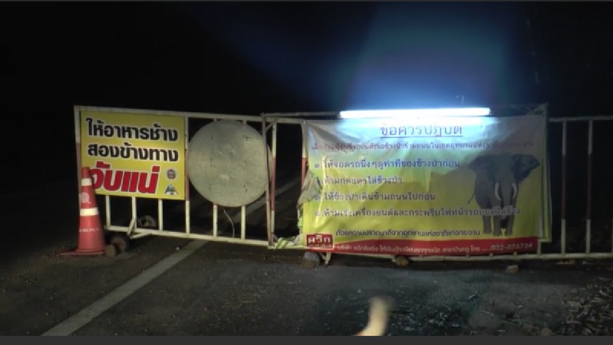 สุดหวาดกลัว!! ลงพื้นที่กรณีช้างป่าเหยียบทหารชุดเฉพาะกิจทัพพระยาเสือ จนเสียชีวิต ขณะช่วยชาวบ้านไล่ช้างป่าที่เข้ามากัดกินพืชไร่ (มีคลิป)