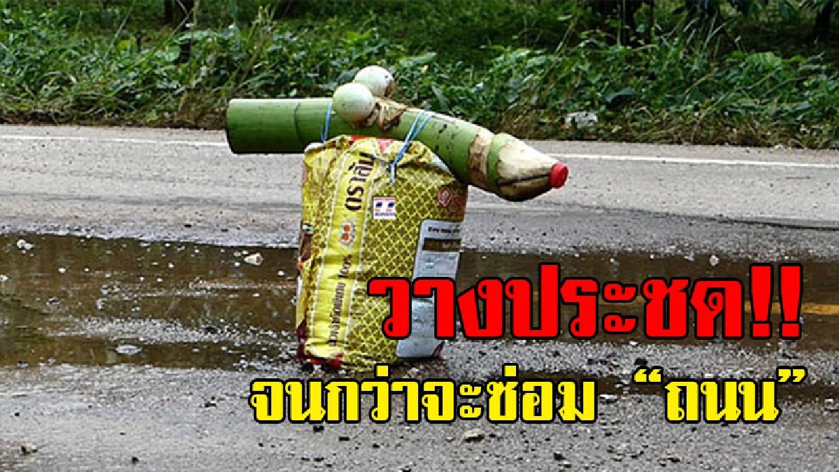 เหลืออดแล้ว!! ถนนพังมานาน ชาวบ้านเดือดร้อนหนัก ขอความช่วยเหลือแต่ยังไร้วี่แวว จึงต้องนำทางมะพร้าวทำเป็นรูป “ปลัดขิก” มาวางประชด!?