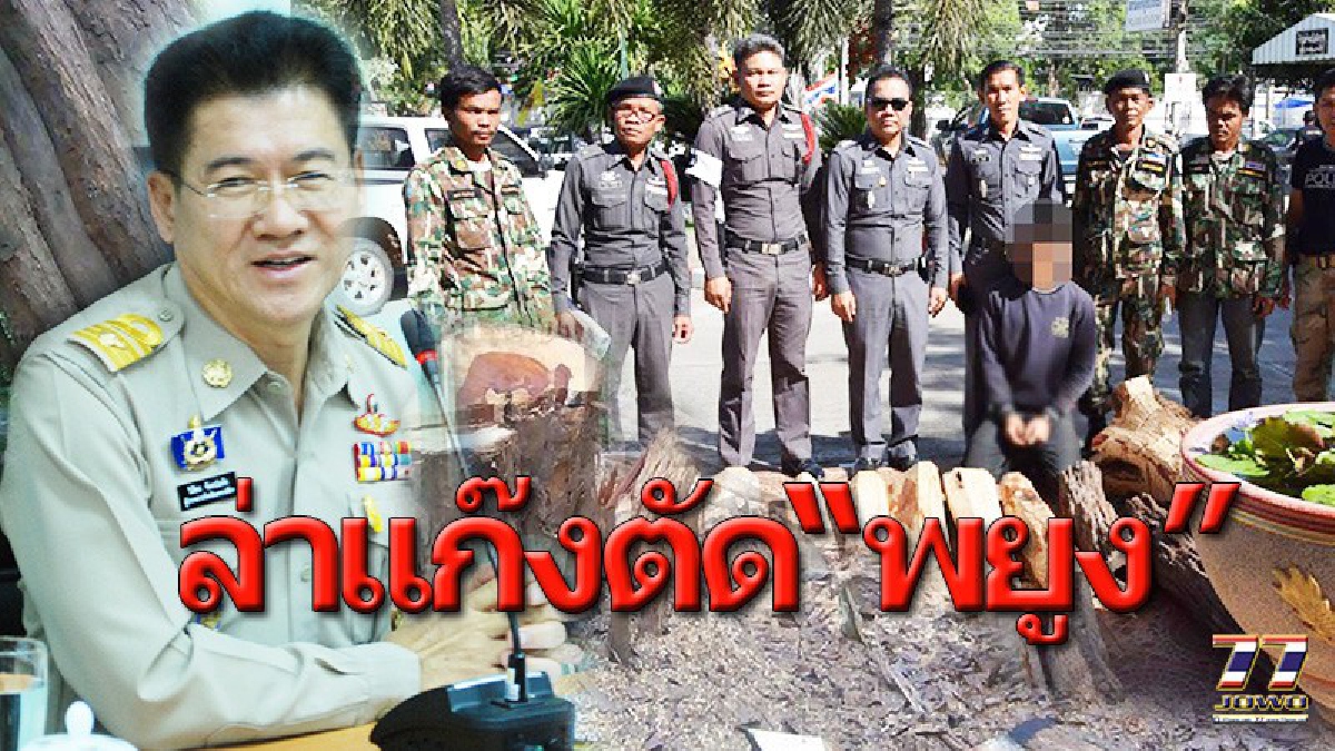 &ldquo;พยัคฆไพร&rdquo;!! ชุดเฉพาะกิจหน่วยพิทักษ์ป่าไล่ล่าแก๊งตัดไม้พยุงป่าวังน้ำเขียวเพิ่มอีก 6 คน ผู้ต้องหาซัดหัวหน้าแก๊งใหญ่เป็นชาวเวียตนาม..!? (คลิป)