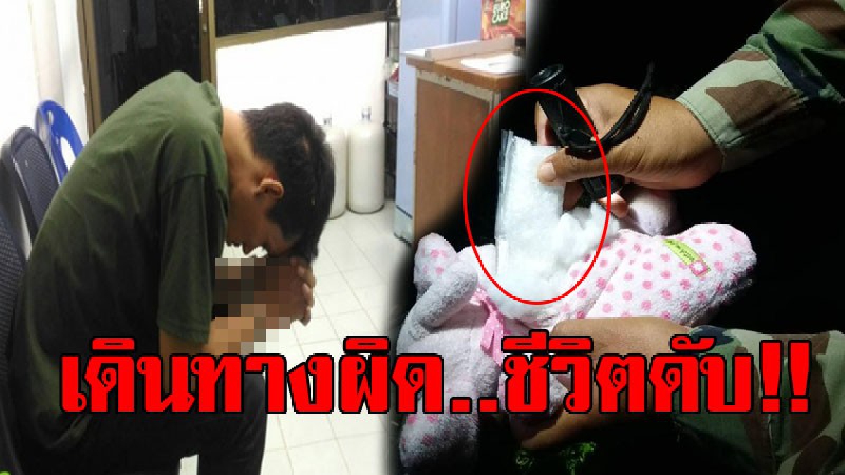 เดินคอตกรับกรรม..!! หนุ่มทำเนียน แอบซ่อนยาในตุ๊กตาและนั่งรถตู้มาส่งของให้ลูกค้าเป็นประจำ สุดท้ายเวรกรรมตามทัน โดนรวบคาหลักฐาน..! (คลิป)