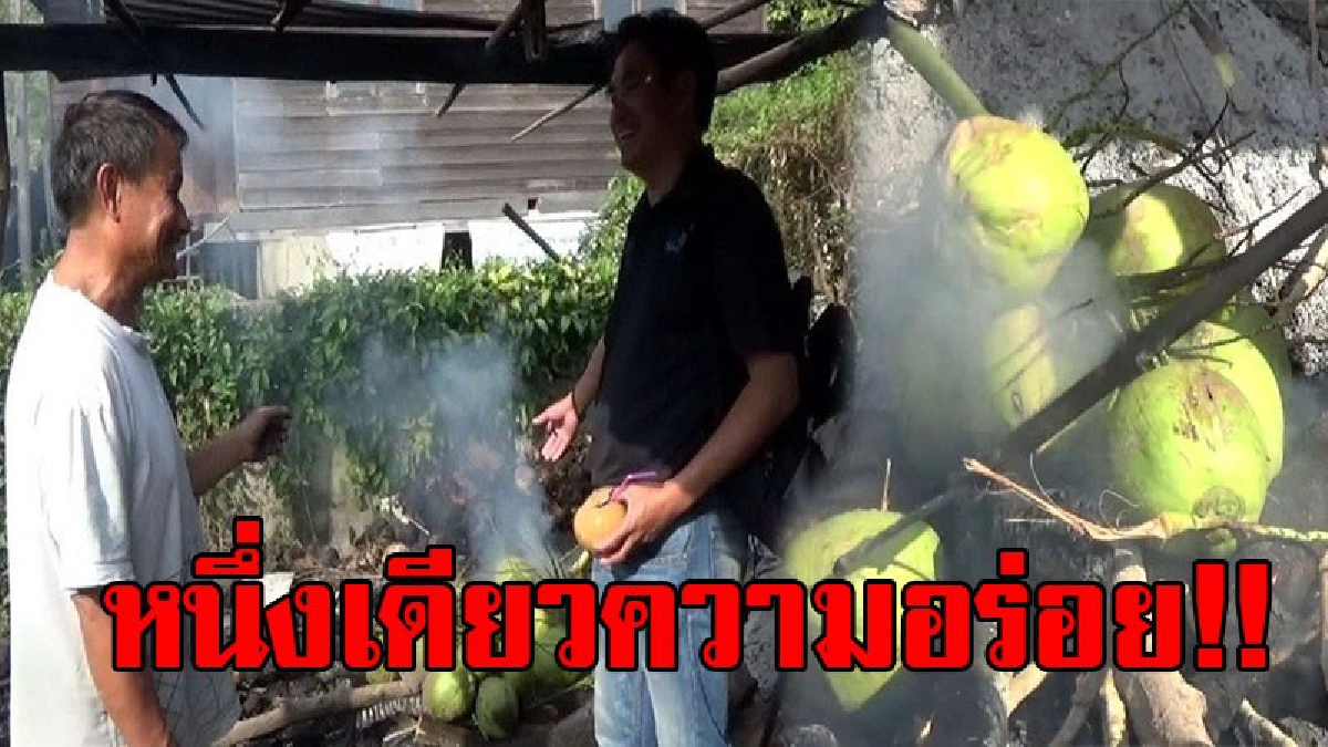 ทีเด็ดของอร่อย..!? มะพร้าวเผา หอมอร่อย หนึ่งเดียวในพะเยา ที่ยังคงใช้วิธีการเผาแบบโบราณดั้งเดิม หากินได้ยาก..!!