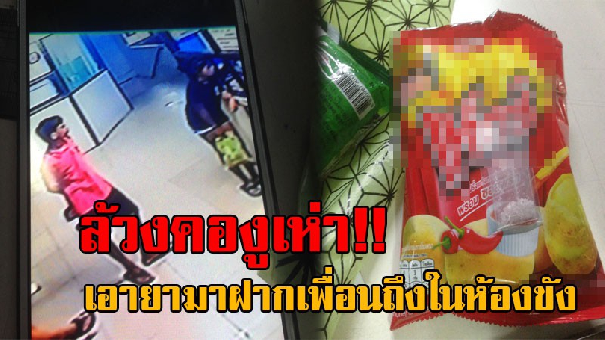 หยามหน้ากันชัดๆ..!! 2ชายหญิง บุกถ้ำเสือ ตีเนียนทำทีมาขอเยี่ยมเพื่อนในห้องขัง แต่กลับโป๊ะแตก เจอเต็มๆยาในซองขนม โคตรใจกล้าสุดๆ!? (คลิป)